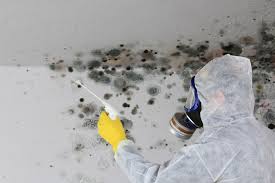 Best Real Estate Mold Inspection  in Tyler, MN